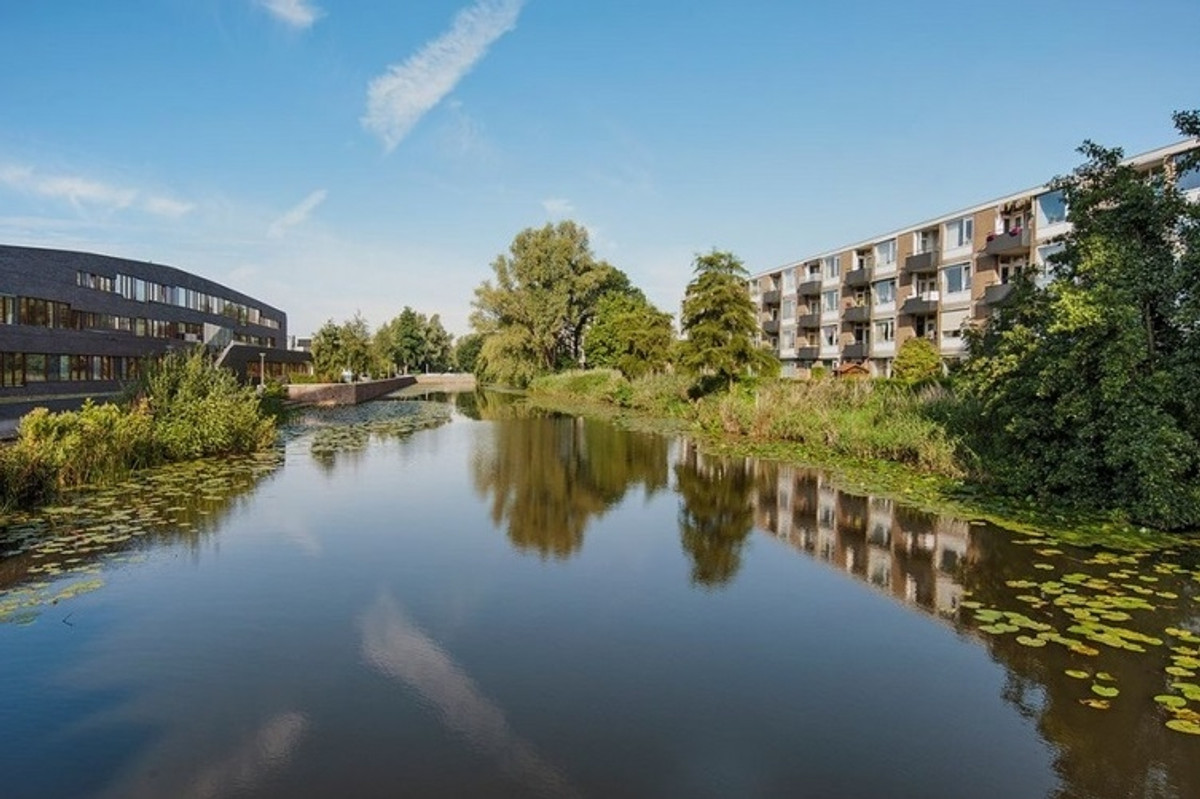 Appartement te huur in Amsterdam aan Frieslandstraat 77 – 3 kamers, 70 m²