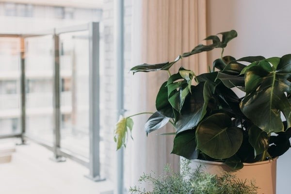 Appartement te huur in Amsterdam aan Pieter Calandlaan – 3 kamers, 83 m² (foto 7)