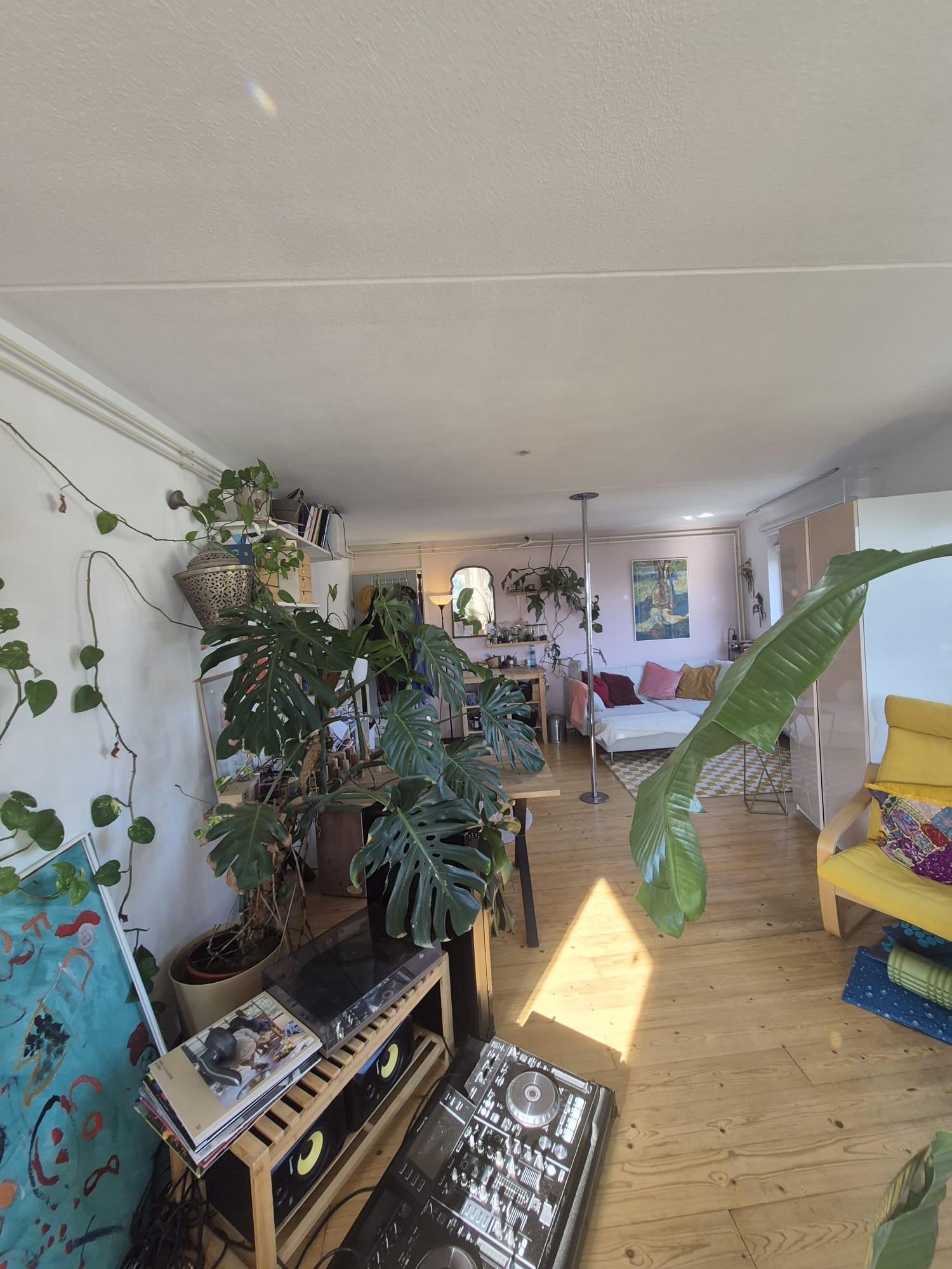 Kamer te huur in Amsterdam aan Pieter Vlamingstraat – 1 kamers, 38 m²