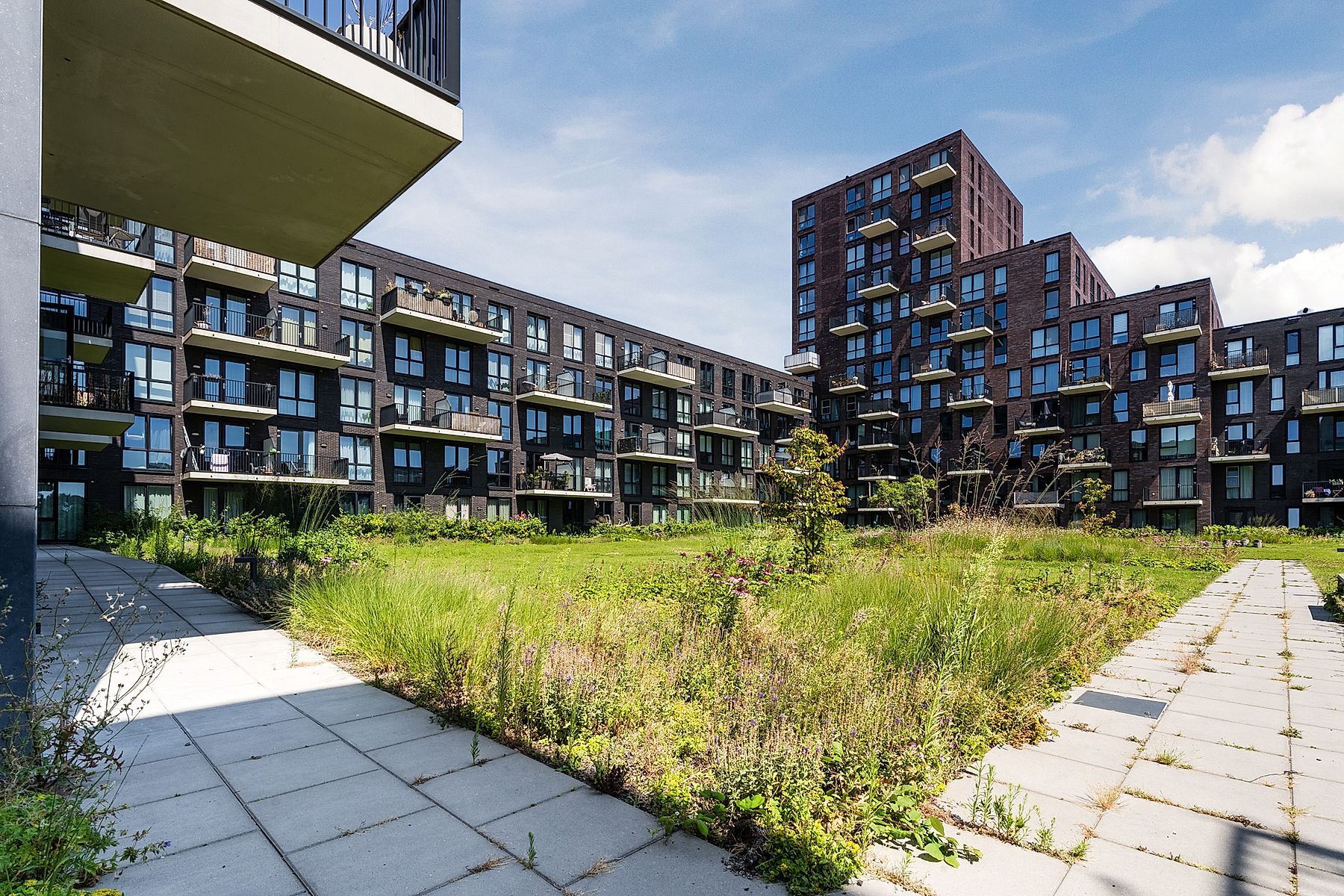 Appartement te huur in Delft aan Theodora Eigemanpad 248 – 3 kamers, 65 m²