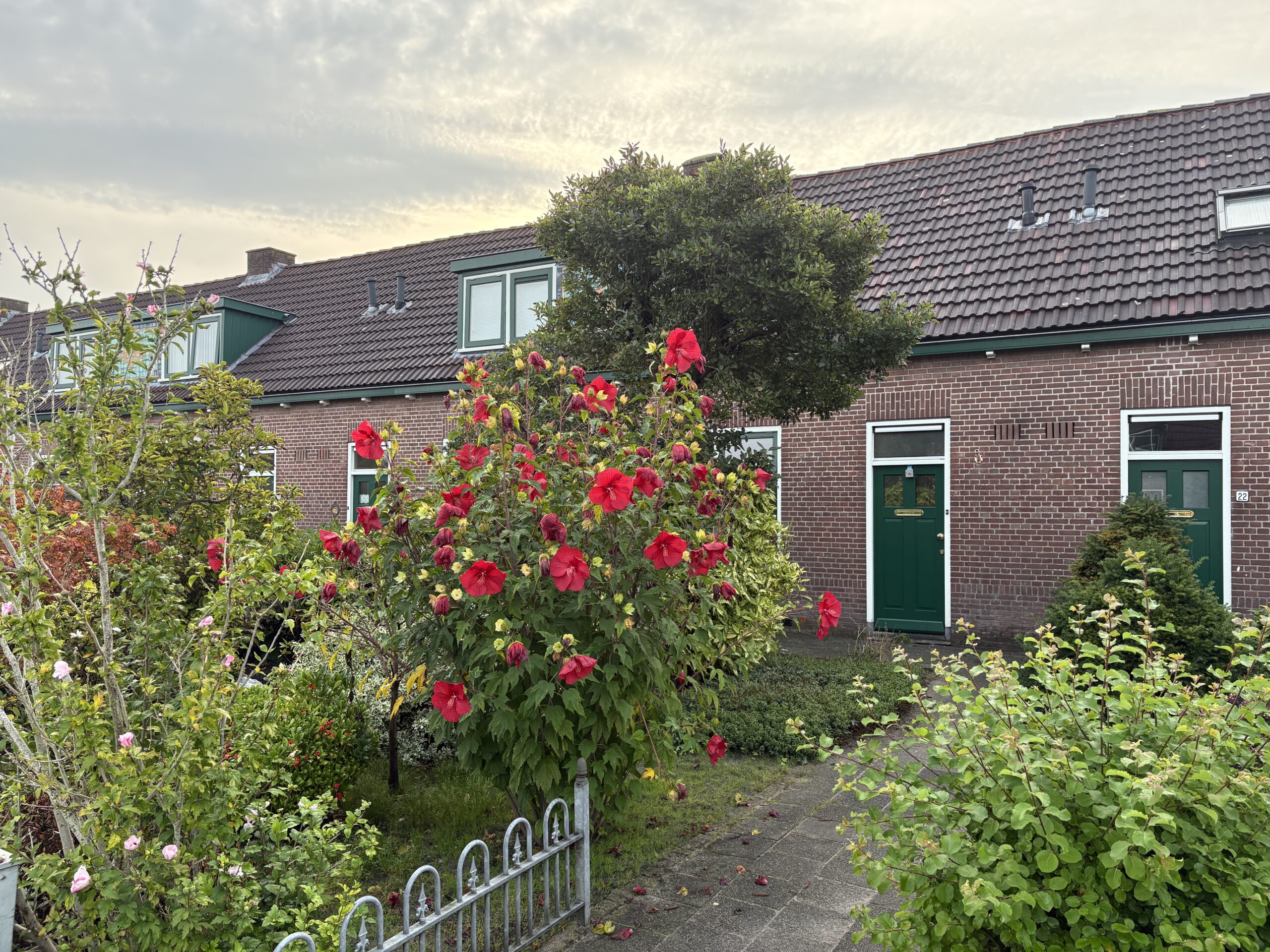 Huis te huur in Drachten aan Beter Wonen 24 – 3 kamers