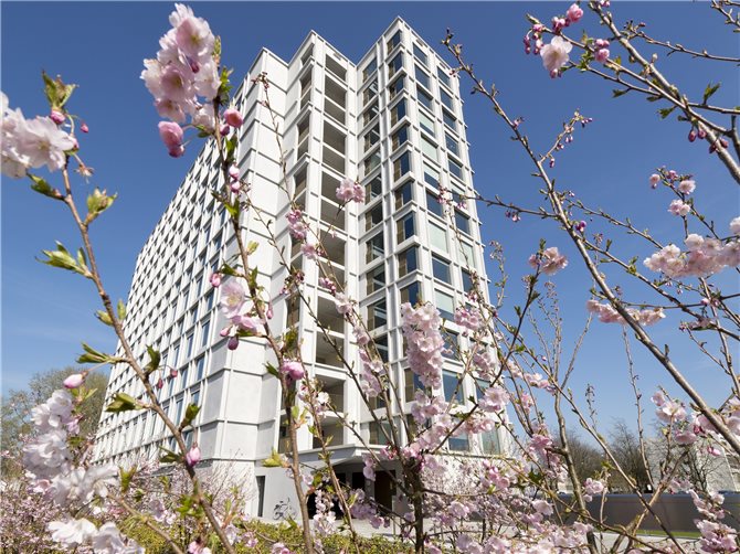 Kamer te huur in Eindhoven aan De Lismortel 42-132 – 1 kamers, 14 m²